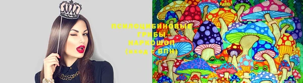 марки lsd Балахна
